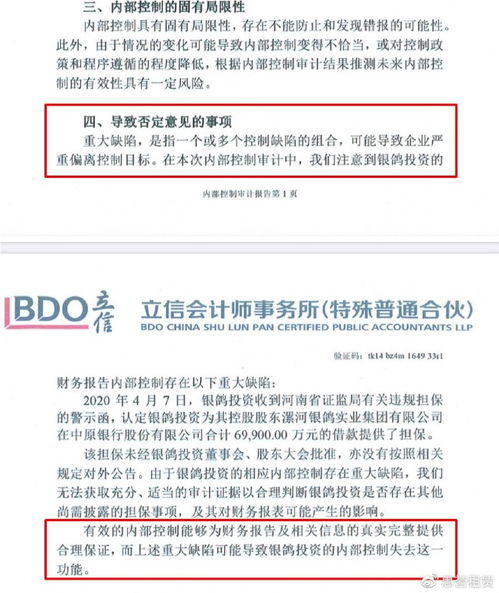 銀鴿投資 審計(jì)報(bào)告懸而未決，監(jiān)管部門(mén)該主動(dòng)出擊了